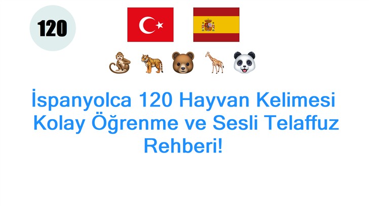 İspanyolca 120 Hayvan Kelimesi: Kolay Öğrenme ve Sesli Telaffuz Rehberi!
